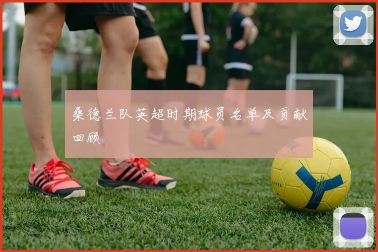 桑德兰队英超时期球员名单及贡献回顾