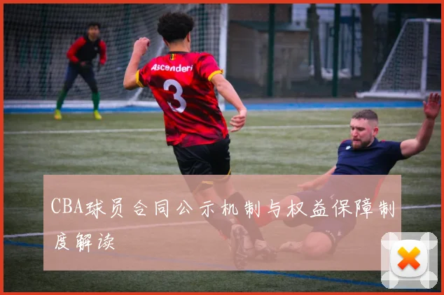 CBA球员合同公示机制与权益保障制度解读