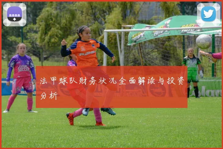 法甲球队财务状况全面解读与投资分析