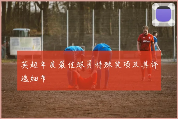 英超年度最佳球员特殊奖项及其评选细节