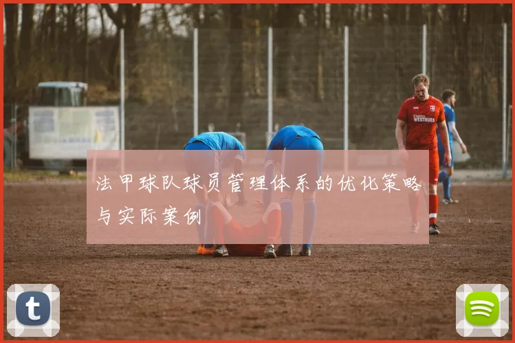 法甲球队球员管理体系的优化策略与实际案例