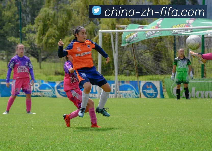 世界杯买球平台生态图