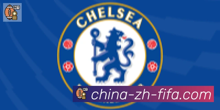 世界杯买球合作伙伴